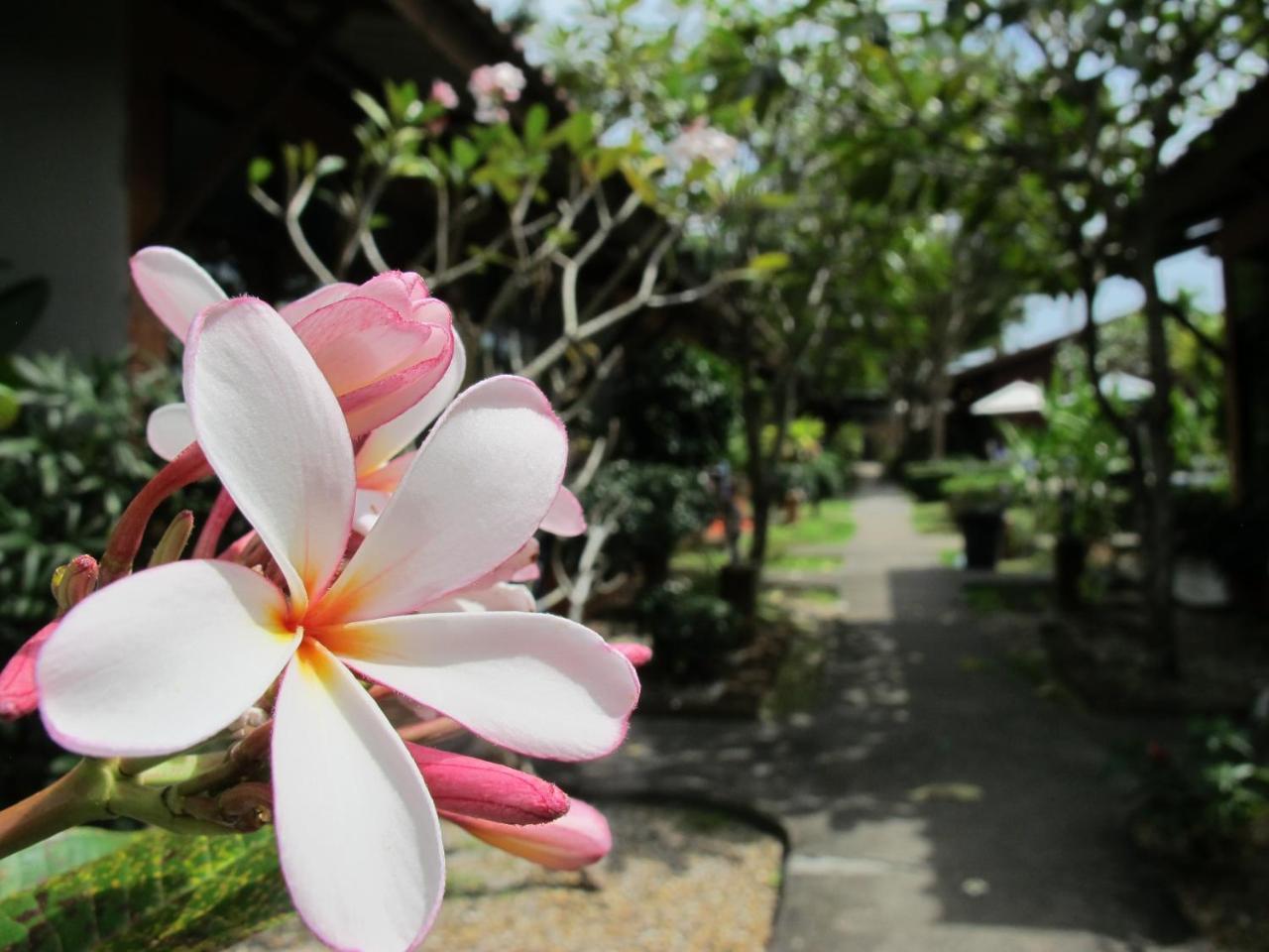 Phuket Siam Villas - SHA PLUS Chalong Exteriör bild